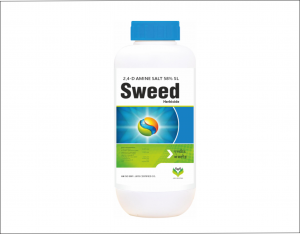 Sweed