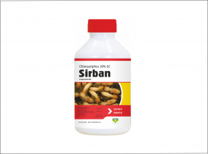 Sirban
