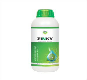Zinky