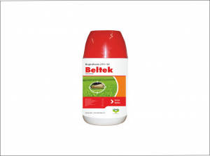 Beltek