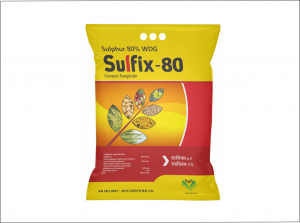 Sulfix-80