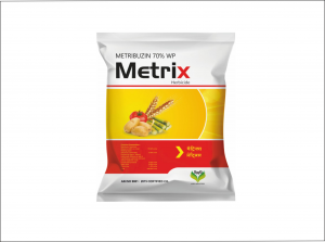 Metrix